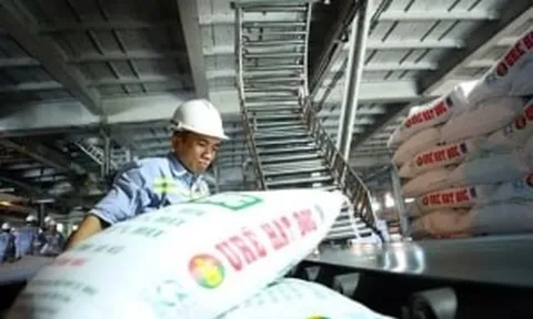 Chiến sự Trung Đông đẩy giá phân bón tăng mạnh, áp lực quay lại như thời COVID-19