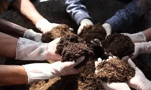 Bán ra gần nửa triệu tấn, thu về hơn 186 triệu USD chỉ sau 2 tháng, một mặt hàng Việt đang 'ăn nên làm ra'