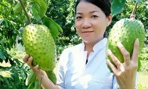 Đi lên từ gian khó, nông dân Cần Thơ kiếm được 10 tỷ/năm nhờ loại quả to bự từng bị ‘ngó lơ’, nay tạo ra sản phẩm đi thẳng sang Mỹ, Hàn Quốc