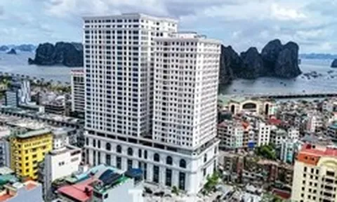 Chủ tịch Quảng Ninh ‘điểm mặt’ loạt dự án tồn đọng hàng chục năm