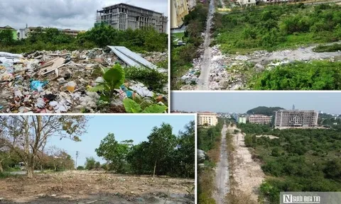 VIDEO: Khu quy hoạch Đại học ở Huế từng ngập rác nay đã "lột xác"