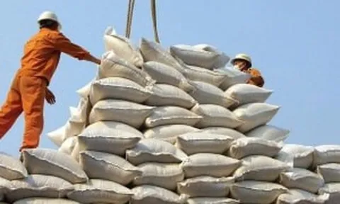 Thị trường gạo xuất khẩu: Chậm mua, chờ giá