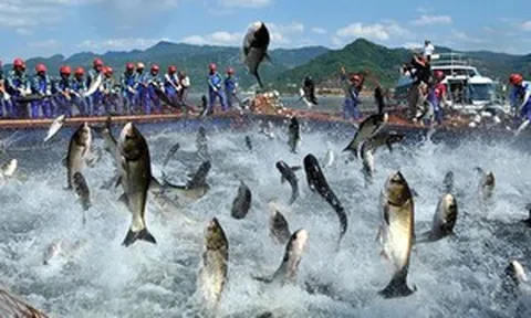 Trung Quốc 'mở hầu bao', Việt Nam đón tin cực vui từ một 'mỏ vàng' vừa thu hơn 1,7 tỷ USD: Loạt quốc gia cùng săn đón