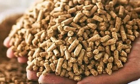 Một 'mỏ vàng' mới nổi của Việt Nam âm thầm 'hốt bạc': 2 tháng thu hơn 250 triệu USD, Trung Quốc chi đậm