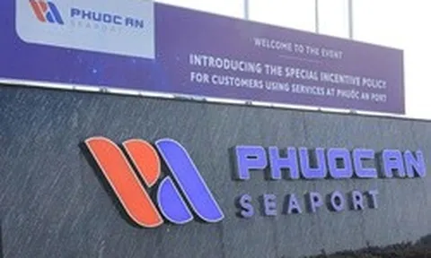 Cảng Phước An dự kiến lỗ trước thuế hơn 234 tỷ đồng năm 2026
