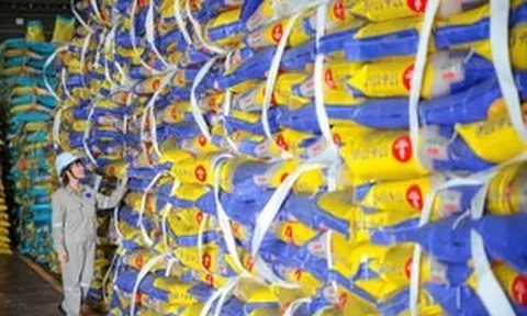 Đạm Phú Mỹ cung ứng 25 triệu tấn sản phẩm, từng bước vươn ra thị trường quốc tế