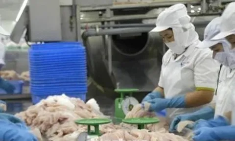 Nhà hàng sushi trong nhóm ‘khó tính’ nhất thế giới dùng cá tra Việt Nam