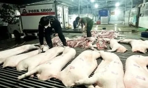 Vụ thịt lợn dịch vào bếp ăn: Nói thẳng về trách nhiệm của ngành nông nghiệp