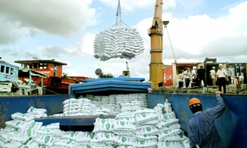 Xuất khẩu gạo gặp khó vì chiến sự Trung Đông