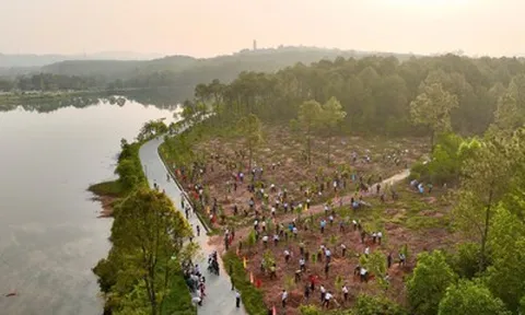 Công viên "ma mị" từng lên báo nước ngoài thay đổi diện mạo mới