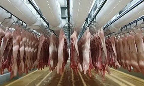 Việt Nam nhập khẩu thịt lợn nhiều nhất từ đâu? Bất ngờ với thị trường đứng đầu