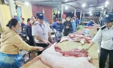 Vụ thịt lợn dịch vào bếp ăn trường học: Trách nhiệm của lực lượng thú y ra sao?