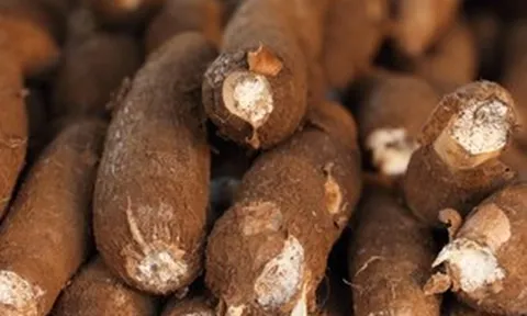 Sản vật được ví như 'vàng trắng' dưới lòng đất của Việt Nam bất ngờ 'lên giá', Trung Quốc gần như ôm trọn thị phần