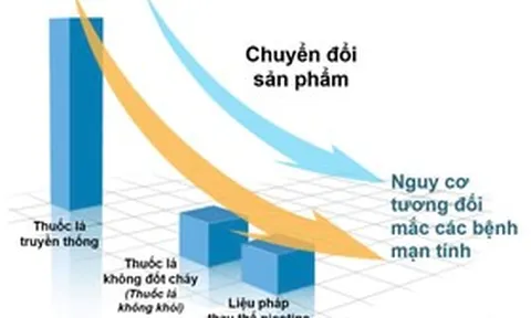 Trung Quốc tái định vị chuỗi giá trị sản phẩm nicotine toàn cầu