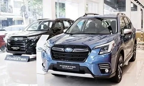 Subaru xả kho cực mạnh cho khách Việt: Forester và Crosstrek xuống dưới 900 triệu đồng