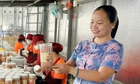 Bỏ công việc văn phòng 8 tiếng đằng đẵng/1 ngày, 9X về quê bán mặt hàng ai cũng có thể dùng, doanh thu gần 1,5 tỷ mỗi năm và giúp được 10 người