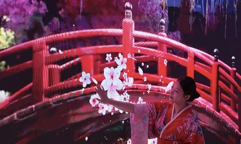 Du khách thích thú trải nghiệm trà đạo, ngắm hoa anh đào Nhật Bản, Hàn Quốc tại TPHCM