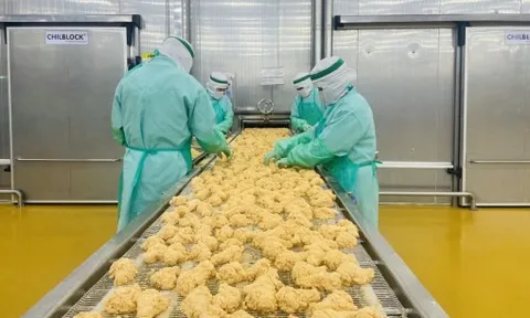 Doanh nghiệp thực phẩm lo mất thị trường Indonesia