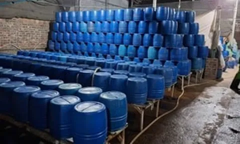 Người phụ nữ sinh năm 1990 dùng chất độc có thể gây chết người để sản xuất hơn 500 tấn giá đỗ