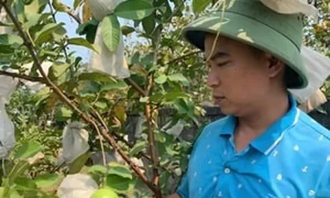 Mạnh dạn bỏ công việc nhàn hạ, chàng kỹ sư ‘lội ngược dòng’ thành nông dân: Sau bĩ cực kiếm cả tỷ bạc mỗi năm, nhờ nuôi con gì và giống quả nào?