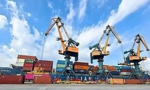 Xếp dỡ Hải An chốt ngày phát hành 2,5 triệu cổ phiếu ESOP