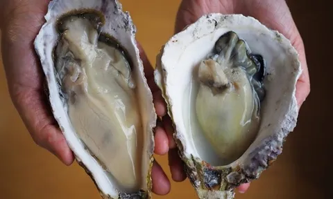 Ăn hải sản kiểu "lạ đời", người đàn ông suýt chết vì điều này