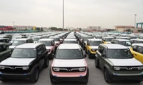 VinFast cho thuê xe điện dài hạn từ 450.000 đồng/ngày: Người dân 2 quốc gia ngay gần Việt Nam được hưởng lợi