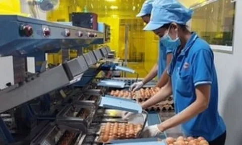 Chi phí 'neo' cao, doanh nghiệp căng mình giữ giá