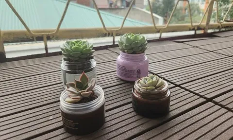 Nghệ thuật tái chế và tái sử dụng trong gia đình hiện đại