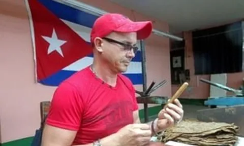 Nông dân Cuba đã trồng thứ hảo hạng, giúp đem về ngoại tệ lớn: Hiện đã biết áp dụng ‘giải pháp xanh’ này giữa lúc thiếu dầu