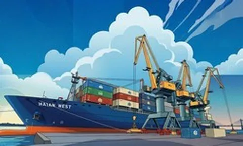 CTCP Vận tải và Xếp dỡ Hải An bị đưa vào diện kiểm tra thuế