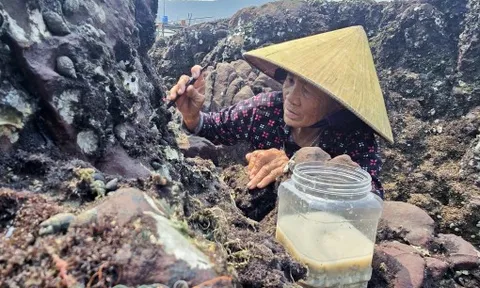 Nghề “đục đá kiếm tiền” của phụ nữ vùng biển