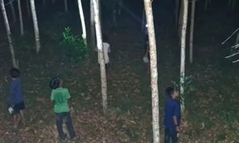 Nghề lạ hái ra tiền: Chỉ cần xô với đèn pin, hàng nghìn người dân Huế săn sản vật, mỗi đêm kiếm tới 500 triệu đồng