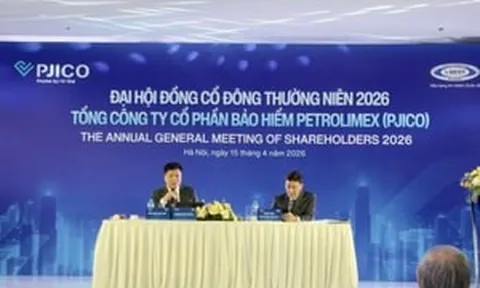 ĐHĐCĐ PJICO: Doanh thu quý I đạt 1.267 tỷ đồng, tiếp tục chia cổ tức 12% tiền mặt