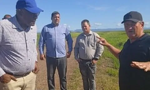 Giống lúa Việt Nam trổ bông trên cánh đồng Cuba, Phó Chủ tịch nước bạn đã xuống tận ruộng thị sát
