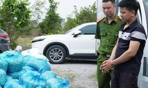 Đột kích xưởng sản xuất giá đỗ sử dụng chất cấm tại Quảng Ninh, thu giữ 4 tấn hàng