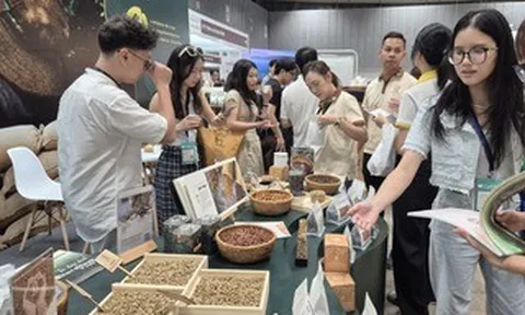 Giá cà phê hôm nay 17- 4: Quay đầu giảm, dân trong nghề thích ứng xu thế cà phê mới