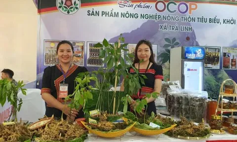 500 sản phẩm “made in Đà Nẵng” đồng loạt ra mắt với định hướng xuất khẩu vươn tầm quốc tế