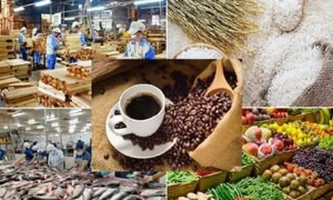 Từ nay, Việt Nam chính thức có nền tảng chợ đầu mối nông sản trực tuyến tại Singapore