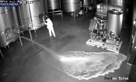 Mất việc, nữ nhân viên nhà máy rượu xả sạch 60.000 lít vang cao cấp xuống sàn