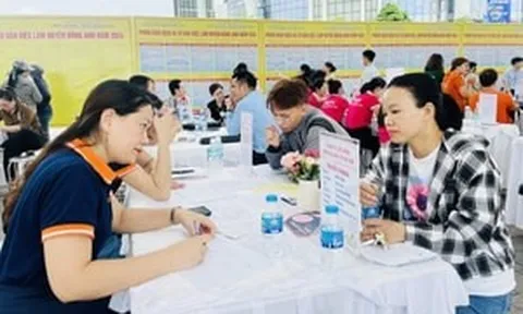 Những ai làm trong lĩnh vực kinh doanh dịch vụ việc làm cần phải làm ngay điều này trước 1/7