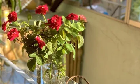 Từ bỏ "hoa gói theo tháng", cô gái Hà Nội tìm thấy niềm vui tiết kiệm từ những gánh hàng rong