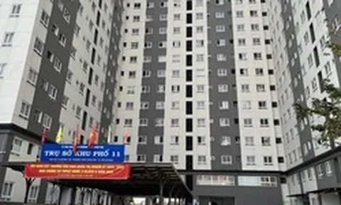 Rút ngắn hành trình tìm chỗ an cư