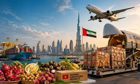 Lần đầu tiên siêu tập đoàn 8 tỷ USD thuê máy bay chở 100 tấn rau quả Việt, tin cực vui cho doanh nghiệp xuất khẩu sang Trung Đông