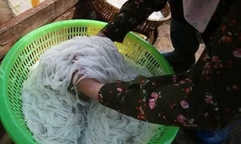 Nghề 'trẻ con cũng làm được': Nhiều phụ nữ ven biển kiếm tiền triệu mỗi ngày chỉ với vật dụng đơn giản