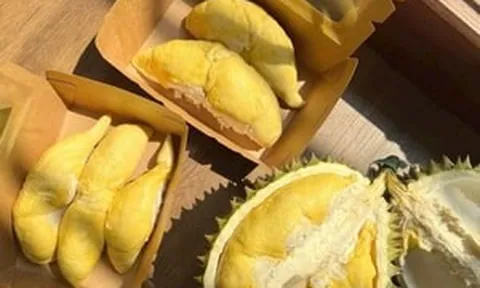 Từ hơn 100.000 xuống 20.000 đồng/kg: Giá sầu riêng Ri6 ‘lao xuống đáy’, ai đang ép nông dân?