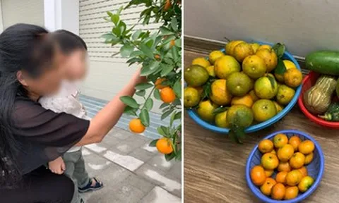 Nàng dâu 3 năm không về quê nghỉ lễ, hổ thẹn trước hành động của bố mẹ chồng U80