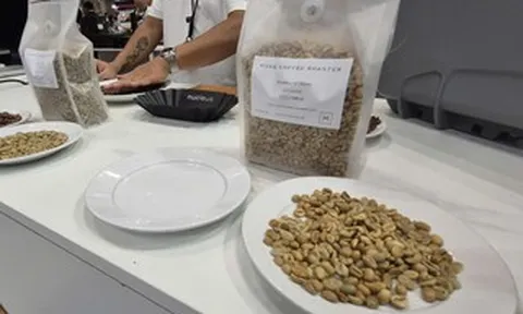 Giá cà phê hôm nay 8-5: Robusta tăng phiên thứ 3