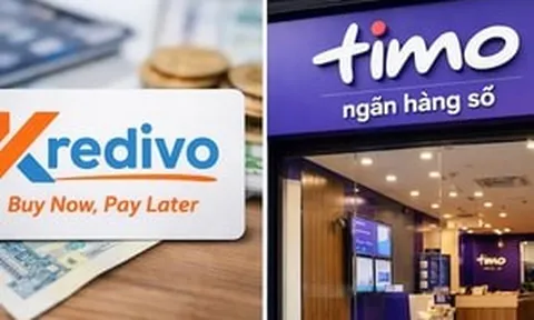 Kredivo mua Timo, MSB giữ TNEX: Điều gì khiến ngân hàng số Việt Nam nóng trở lại?