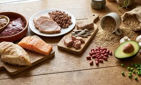 Một loại vitamin có thể là "chìa khóa" trị gan nhiễm mỡ